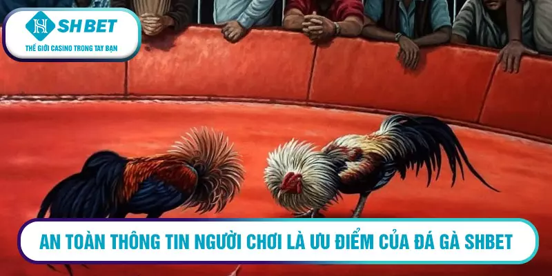 An toàn thông tin người chơi là ưu điểm của đá gà SHBet