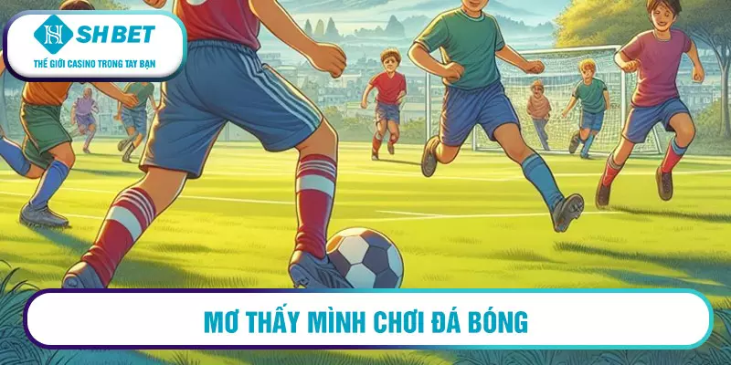 Mơ đá bóng đánh con gì?