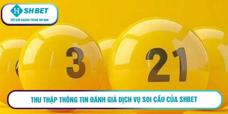 Thu thập thông tin đánh giá dịch vụ soi cầu của SHBET 